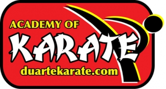Academy of Karate Logo